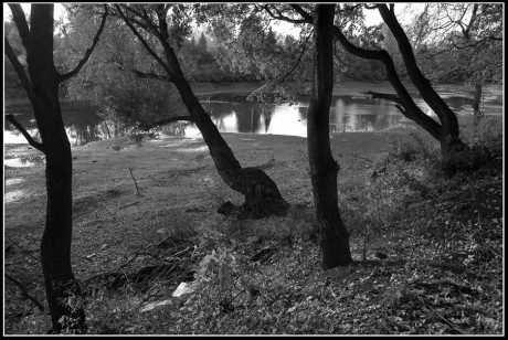 Libeň-stromy-2006.jpg