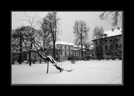 Zimní-Praha-2006-01.jpg