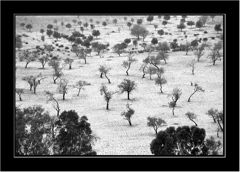 Agrigento,-Sicílie-2002-01.jpg