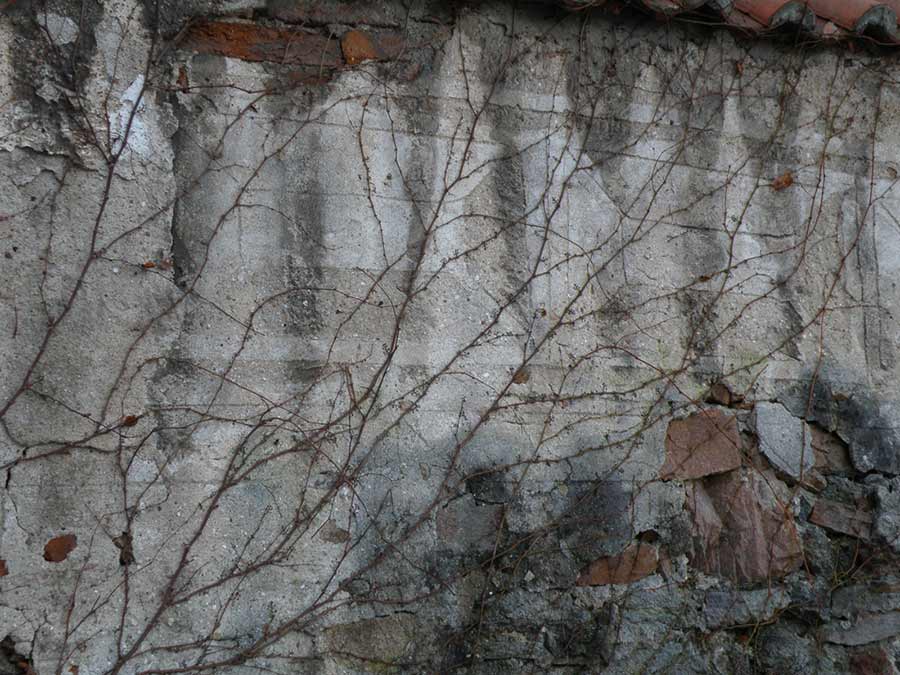 Sedlice-2008-11.jpg