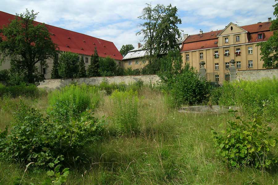 Bělá-pod-Bezdězem-13.jpg