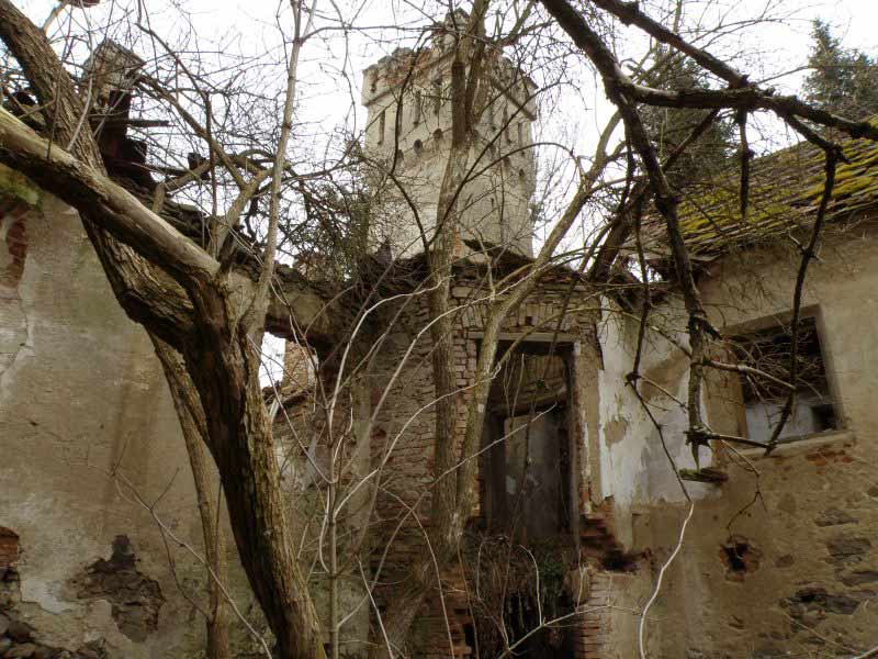 Jetřichovice-2009-40.jpg