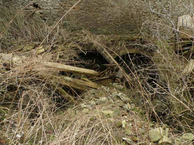 Jetřichovice-2009-41.jpg