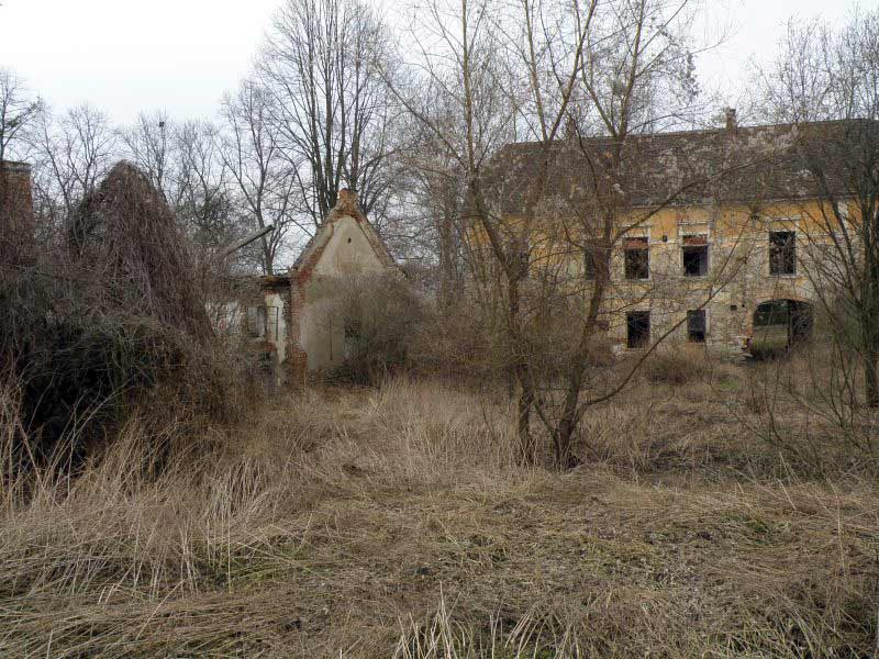 Jetřichovice-2009-53.jpg