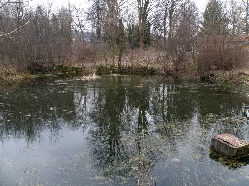 Jetřichovice-2009-59.jpg