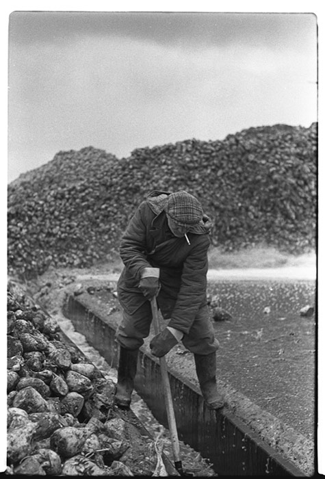 Cukrovar-Kopidlno-1979-38.jpg